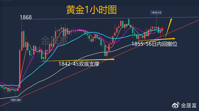 金晟富1116黄金今日行情实时走势分析及独家操作策略建议