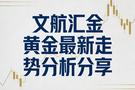 文航汇金：1.12黄金又双叒叕突破历史新高，后市该如何规划？