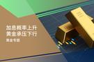 【百利好黄金专题】加息概率上升 黄金承压下行