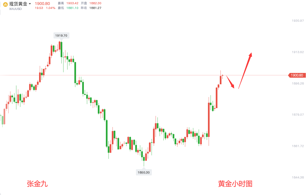 今日黄金价格走势最新(今日黄金价格查询最新走势)