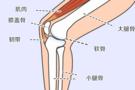 膝盖疼痛可能暗含足部问题，定制矫正鞋垫安心干预
