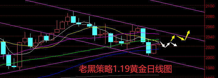 老黑策略119外匯黃金原油分析策略